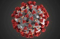 Câmara de Manicoré suspende atividades por causa do coronavírus