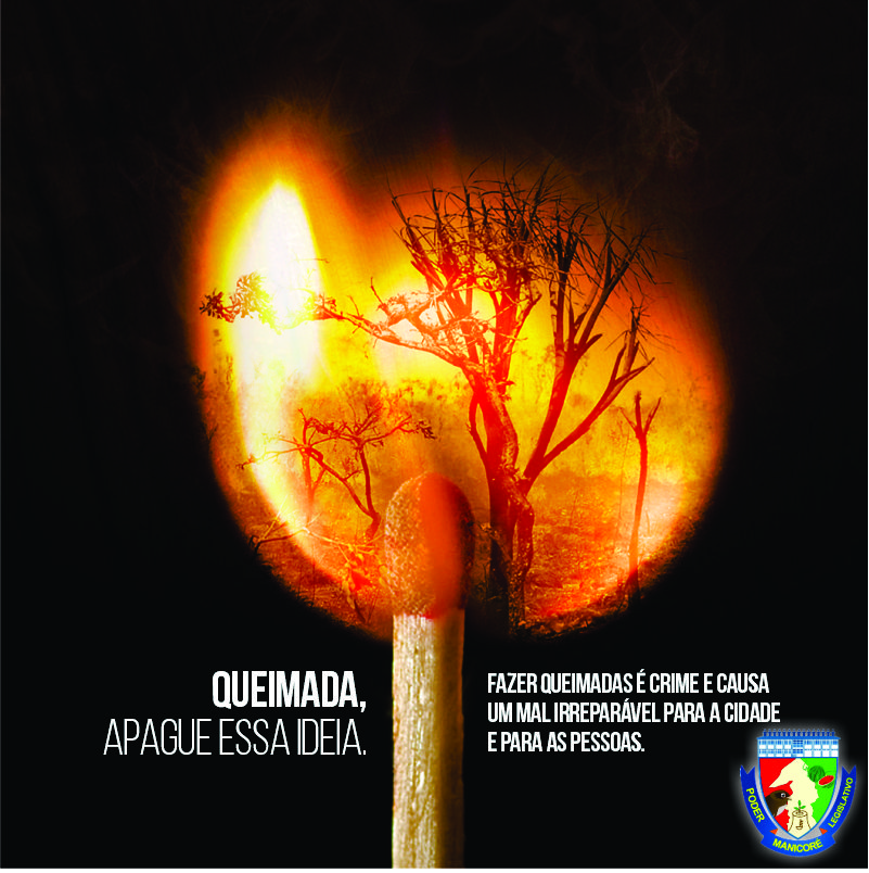 campanha queimadas