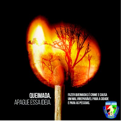 campanha queimadas