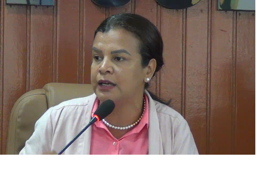 Inara Coutinho solicita melhorias para garantir maior segurança no trânsito