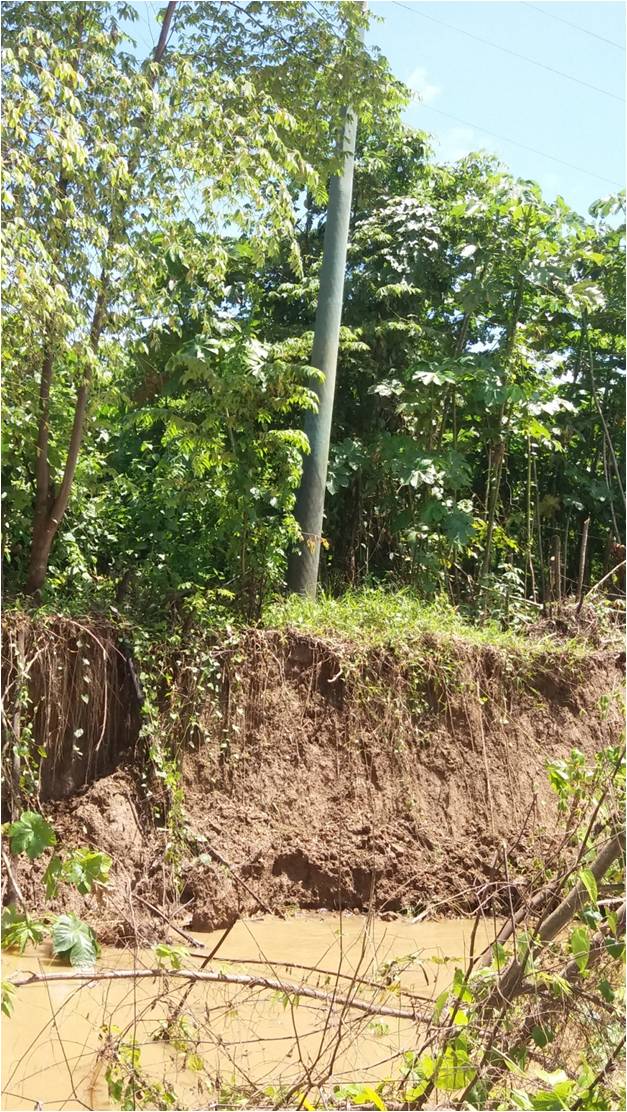 Luzinei Delgado, solicita a manutenção e substituição de portes de rede elétrica nas margens do rio madeira