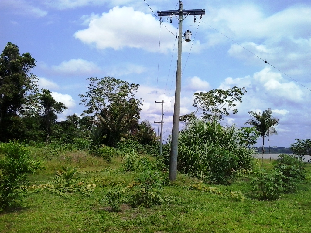 Presidente da Câmara, vereadores e coordenador vistoriam obras do Luz Para Todos na Zona Rural de Manicoré