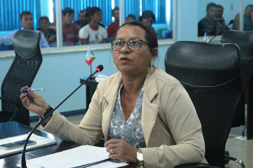 Socorro Abreu solicita instalação de placas de identificação das comunidades da zona rural de Manicoré