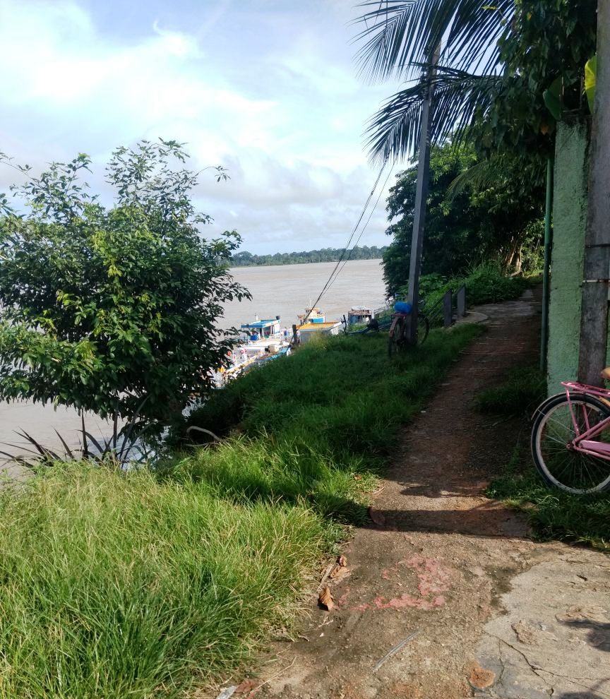 Socorro Torres solicita limpeza na orla de Manicoré 